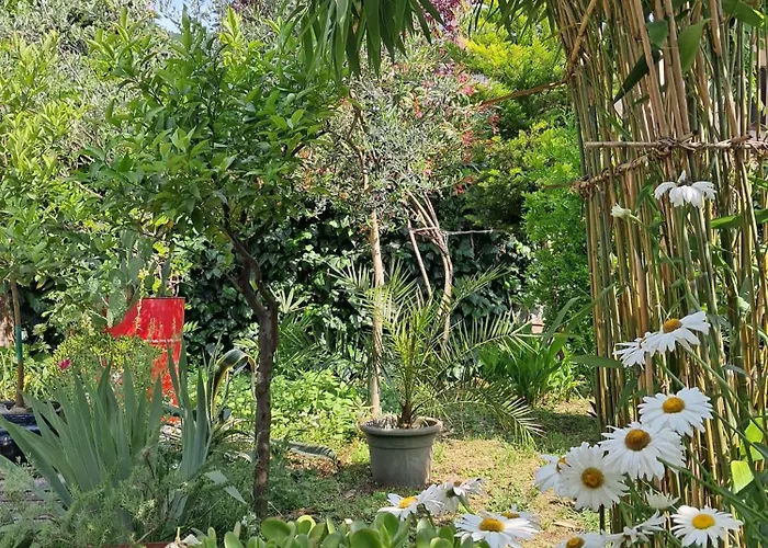 Room With A Garden