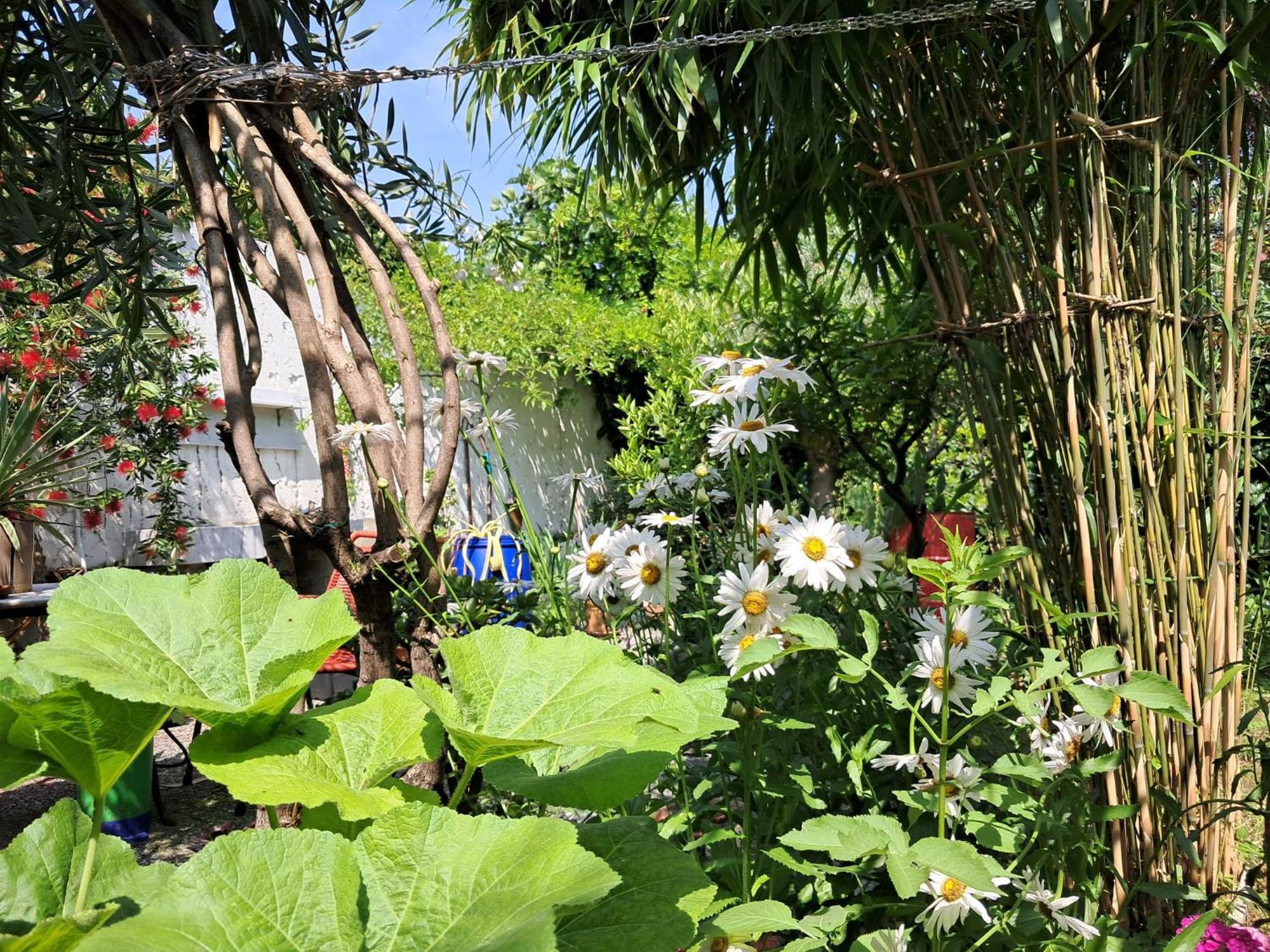 With A Garden Homestay Milan