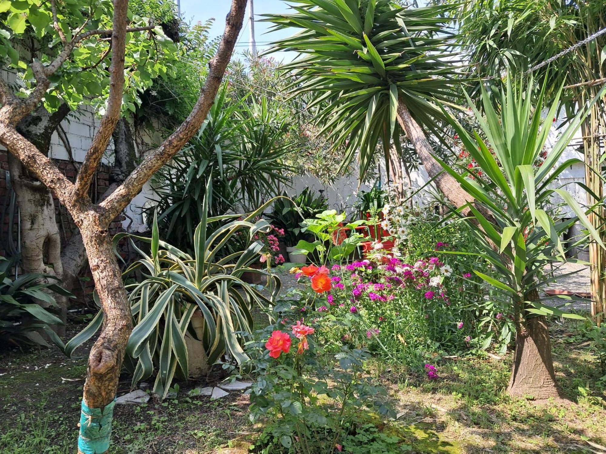 With A Garden