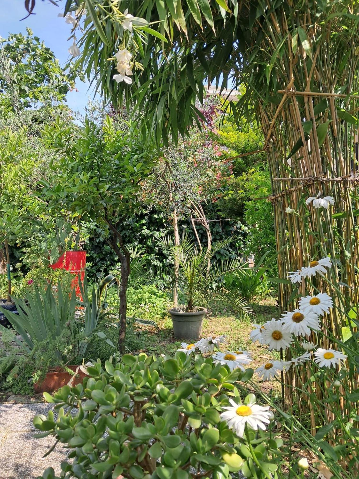Homestay With A Garden *